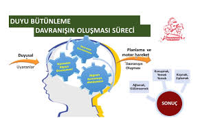 Hizmet Galerisi